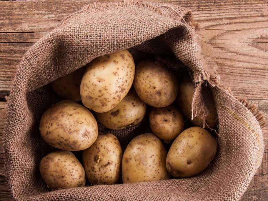 Kartoffelsalad e Pastin